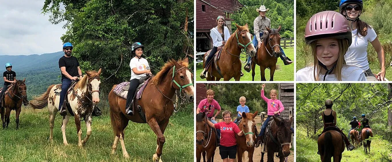 Private Horseback Experience in Appalachian Mountains