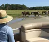A person wearing a straw hat is observing a group of horses grazing near a water body in a lush open field from the comfort of a boat