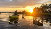 Chincoteague Pony Swim Kayak ...