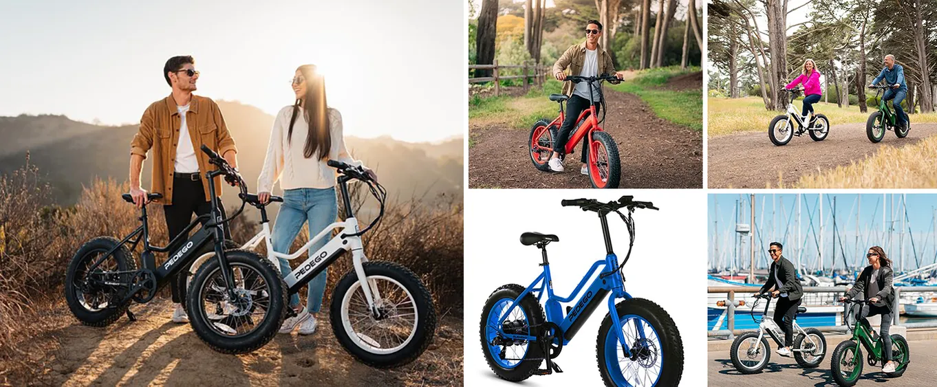 Fat Tire Electric Bike Rental