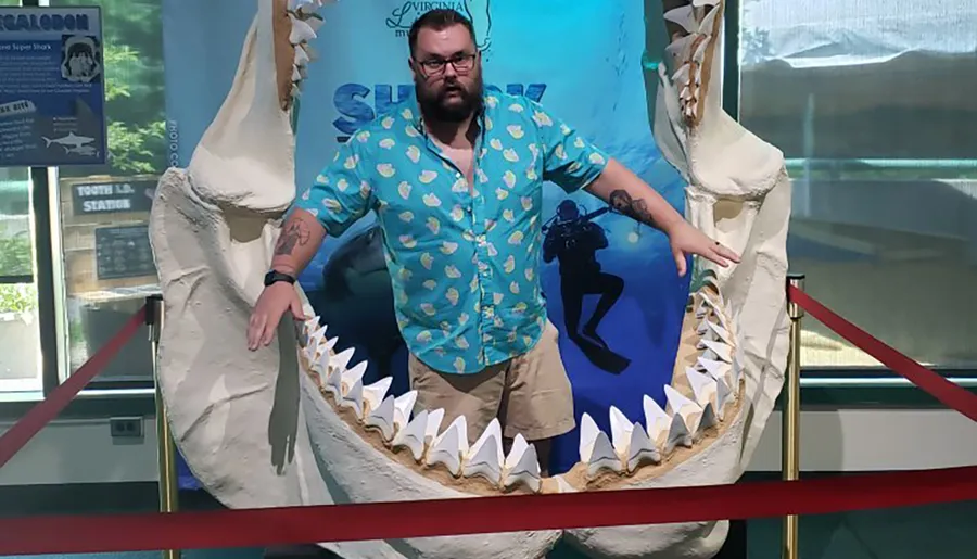 A person is posing between the jaws of a large shark model exhibit.