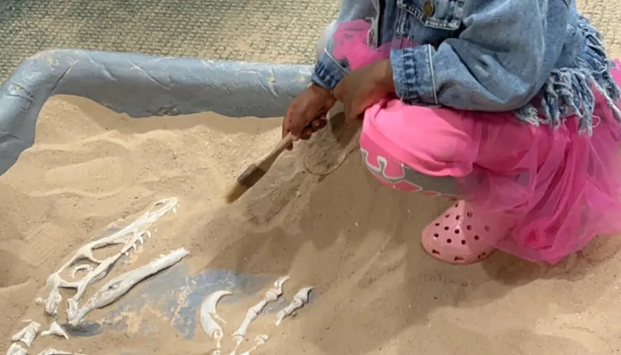 A child is crouched down in a sandbox uncovering what appears to be a dinosaur fossil with a brush.