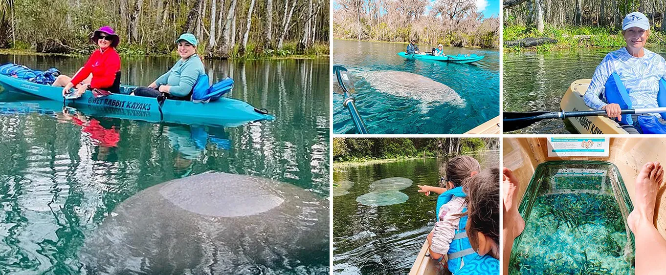 Glass Bottom Kayak Guided Tour in Silver Springs