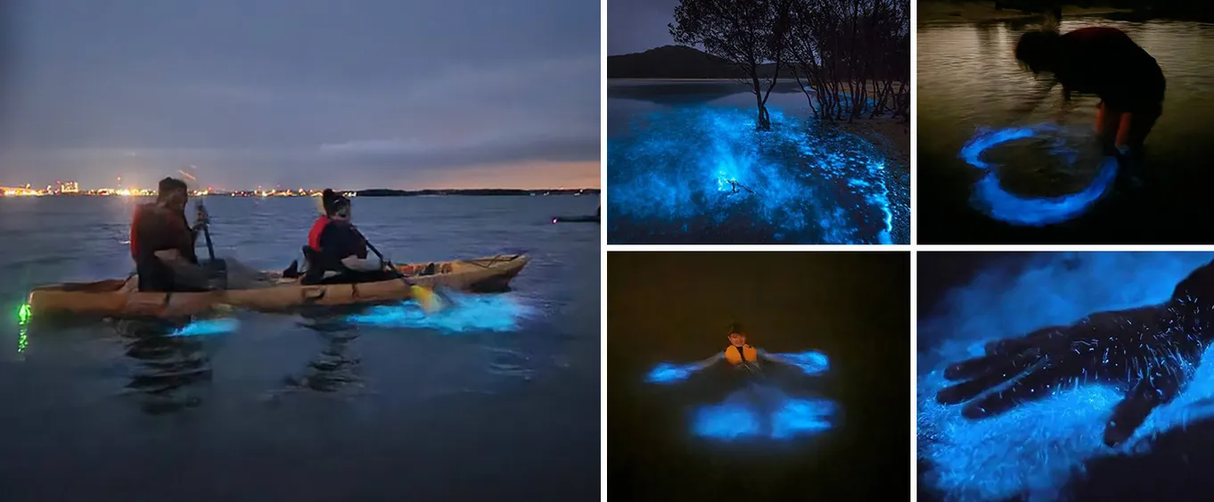 Bioluminescence Kayak Adventure Near Orlando
