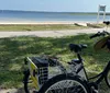 A bicycle with a basket and rear cargo rack is parked on the grass by a coastal roadway with a view of the water and clear sky in the background