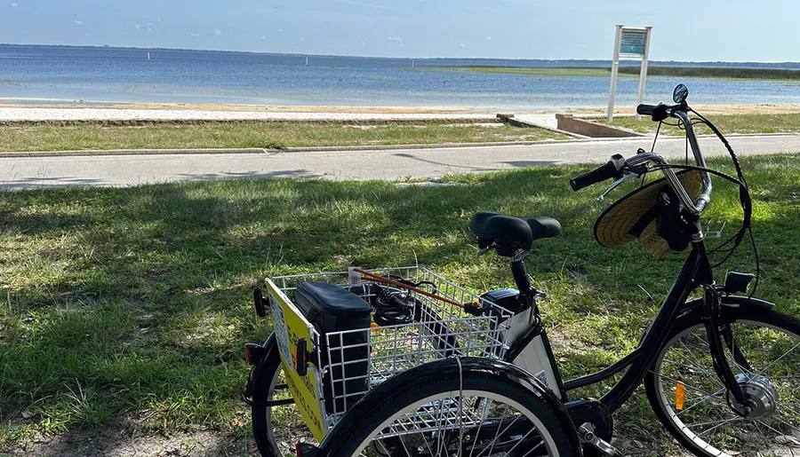 A bicycle with a basket and rear cargo rack is parked on the grass by a coastal roadway, with a view of the water and clear sky in the background.