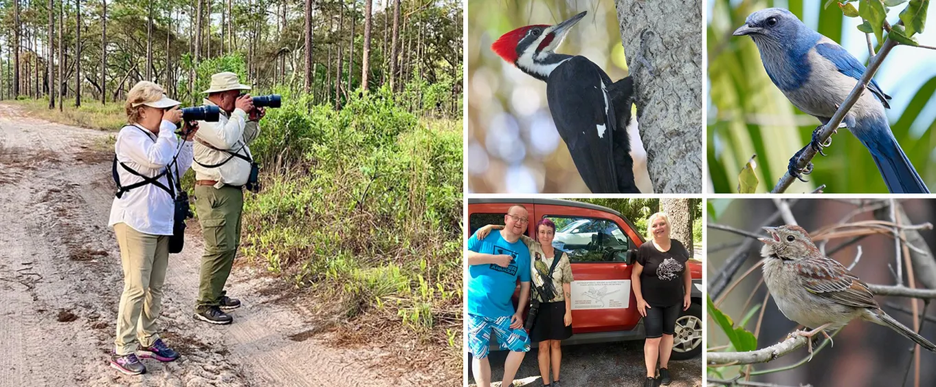 Birding and Wildlife Tour of Florida's Treasure Coast