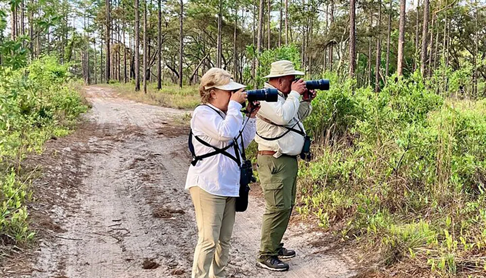 Two people equipped with cameras and binoculars are observing wildlife in a forested area