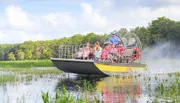 An airboat with passengers is gliding through a sunny and lush wetland.