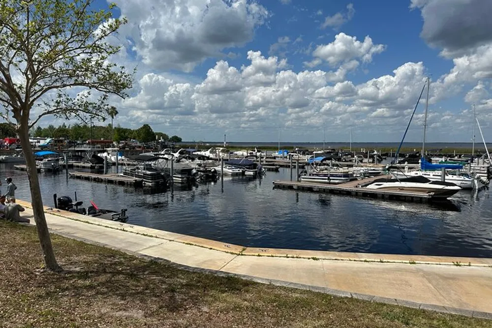 The image showcases a marina with various boats docked and a clear sky with scattered cumulus clouds overhead