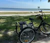 A three-wheeled bicycle with a basket and a hat is parked by a waterway on a sunny day