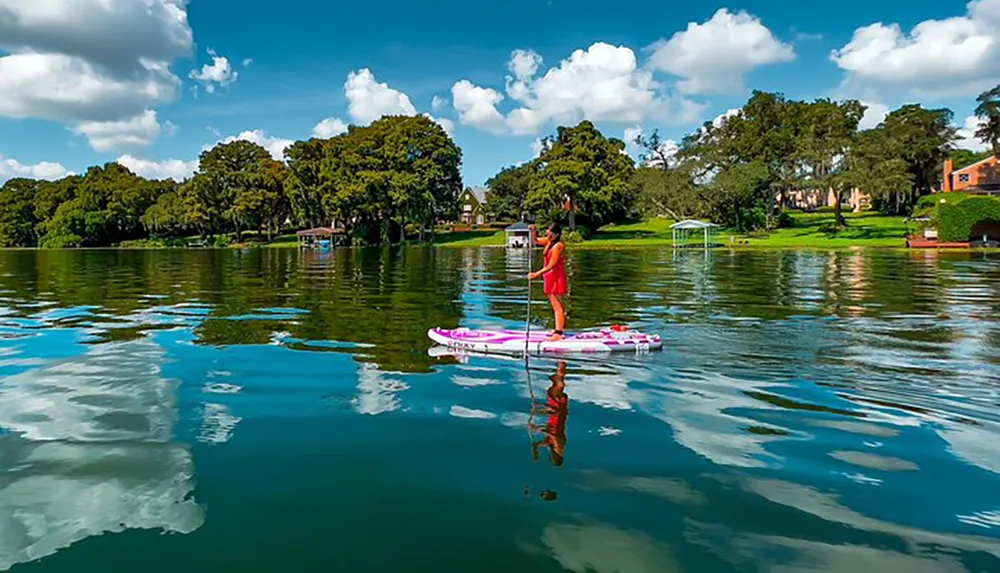 A person is stand-up paddleboarding on a calm lake with lush trees and clear skies in the background