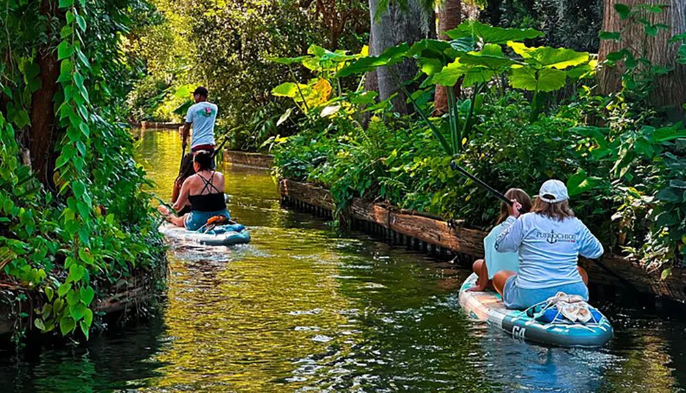 Individuals are leisurely paddleboarding down a serene narrow waterway surrounded by lush greenery