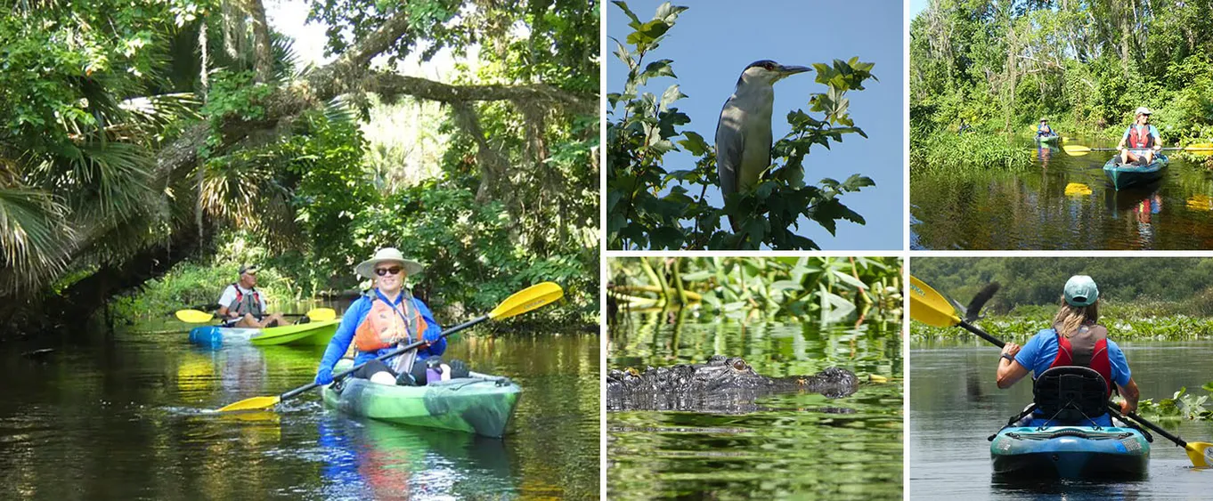 Small Group Scenic Wekiva River Kayak Tour Near Orlando