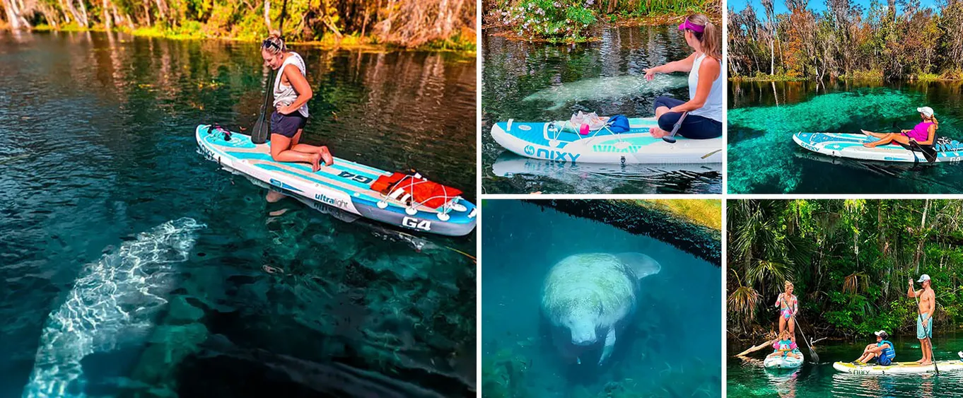 Silver Springs Paddle Board Adventure