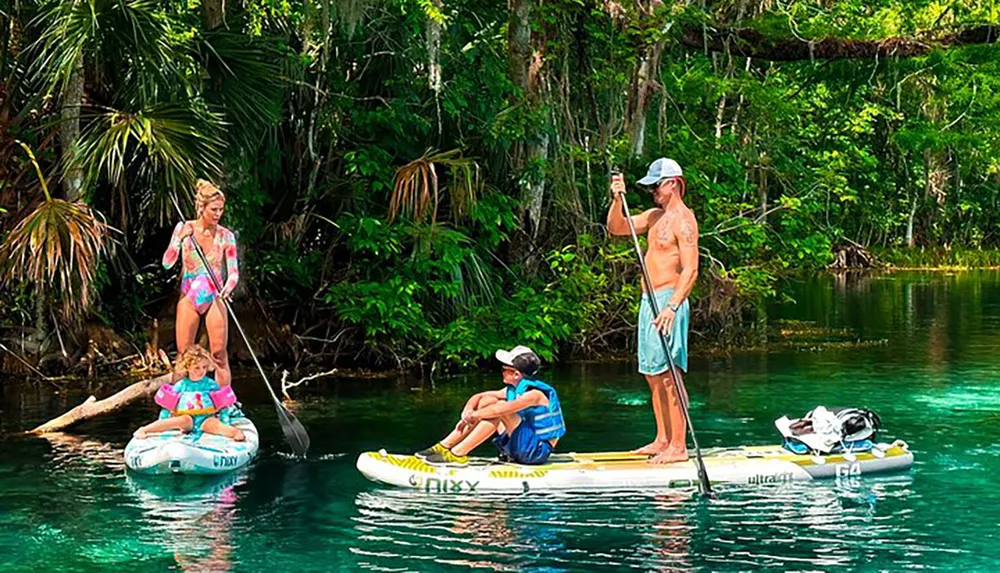 A group of people enjoy paddleboarding and kayaking on a serene clear waterway surrounded by lush greenery