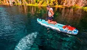 A person is standing on a paddleboard over clear water, revealing underwater features, with lush greenery in the background.