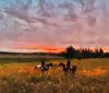 Two riders on horses are enjoying a vibrant sunset over a field peppered with yellow flowers