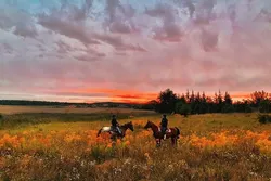 Popular Horseback Riding