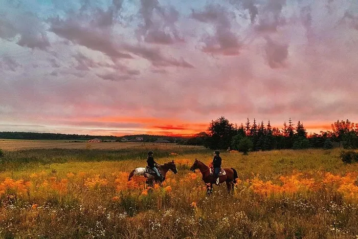 Champagne and Charcuterie Sunset Trail Ride Photo