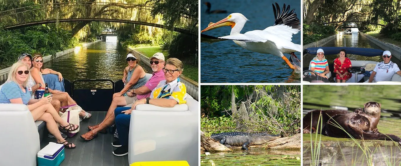 2 Hour Historical Wildlife Tour of the Chain of Lakes