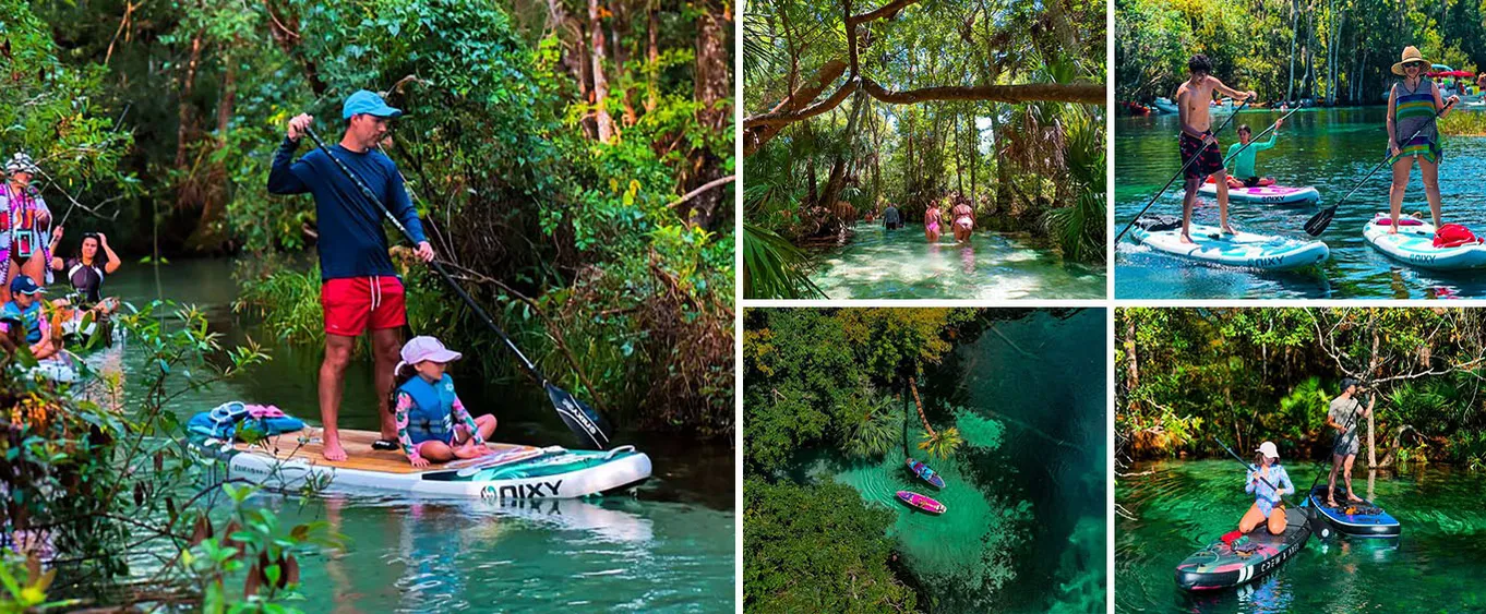 Rainbow Springs Paddle Board Adventure