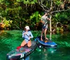 A group of people is enjoying paddleboarding and kayaking along a serene forest-lined waterway