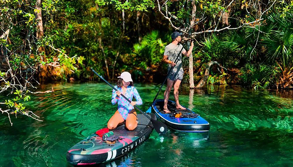 Two people are stand-up paddleboarding on a clear serene body of water surrounded by lush greenery