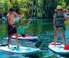 A group of people is enjoying paddleboarding and kayaking along a serene forest-lined waterway