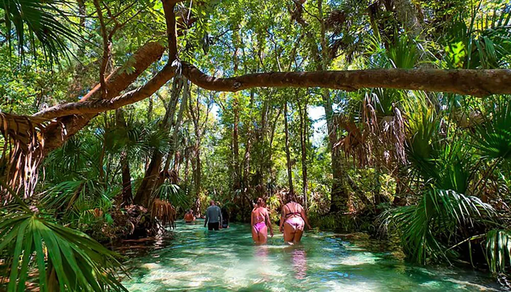 People wade in a tranquil sun-dappled river surrounded by lush greenery and overhanging trees