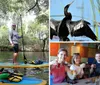 Two people are standing on paddleboards surrounded by tranquil waters and draped Spanish moss in a serene natural setting