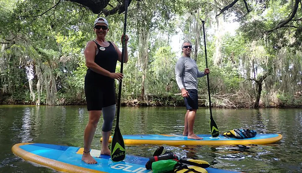 Two people are standing on paddleboards surrounded by tranquil waters and draped Spanish moss in a serene natural setting