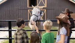 Popular Farms & Ranches