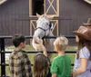 A group of children with one wearing a cowboy hat are petting and admiring a light-colored horse at a farm with an adult supervising