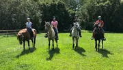 A group of individuals is enjoying a sunny day out horseback riding in a grassy field.