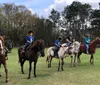 A group of horseback riders travels along a grassy trail at sunset