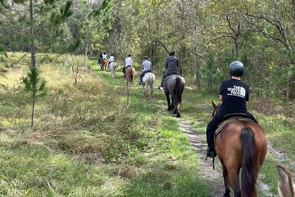 A group of people on horseback are enjoying a trail ride through a wooded area