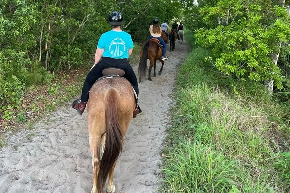 A group of people are trail riding on horses through a wooded area