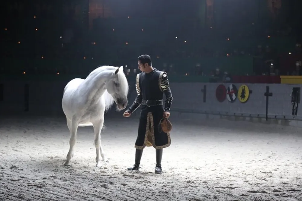 A person in medieval knight attire stands facing a white horse in a dimly lit sandy arena suggestive of a dressage performance or theatrical event