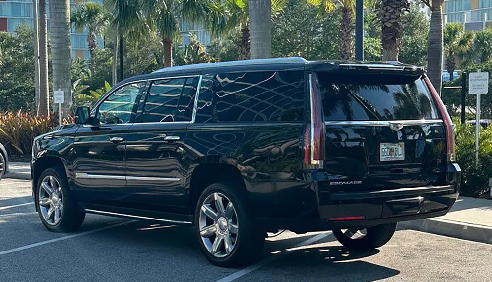 A black Cadillac Escalade SUV is parked diagonally across two parking spaces in a lot surrounded by palm trees