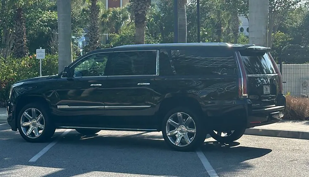 A large black SUV is poorly parked across two parking spaces in a sunny lot with palm trees in the background