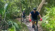 Two individuals are mountain biking on a forest trail surrounded by lush greenery.