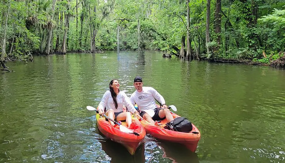 Two people are enjoying a kayak ride on a serene river surrounded by lush greenery