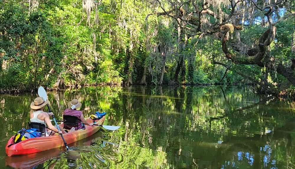 Two individuals in a canoe paddle through a serene tree-lined waterway reflecting the lush greenery around them