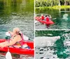 Two people are kayaking on clear water with a manatee visible underneath