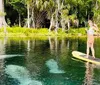 Two people are kayaking on clear water with a manatee visible underneath