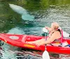 Two people are kayaking on clear water with a manatee visible underneath