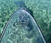 A clear stand-up paddleboard floats on a crystal-clear turquoise water surface