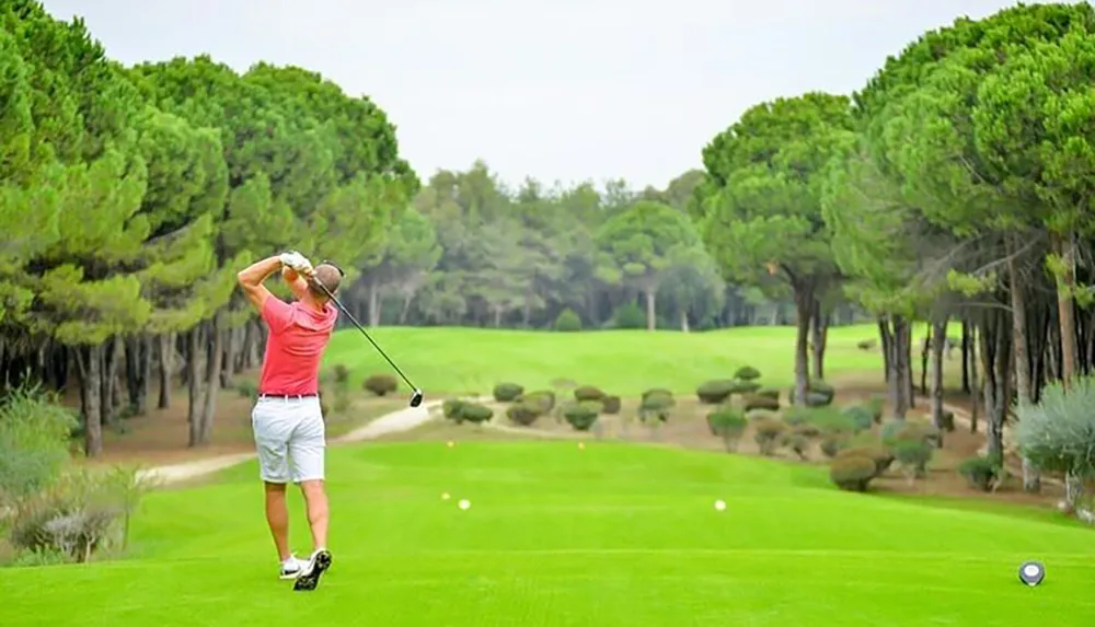 A golfer is in mid-swing on a lush green golf course flanked by tall trees