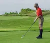 A person is preparing to take a golf shot on a lush green course